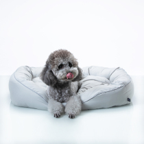 sniff pet dog covets soft fluffy cloud Dot winter warm and deep sleep can be used for all seasons GM
