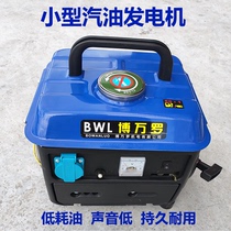 Small gasoline generator portable mini silent 220V household portable outdoor charging single-phase generator