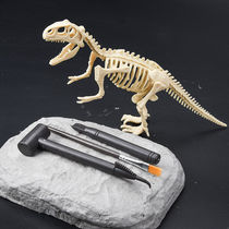 Archaeological excavation toy assembly dinosaur bones Bone plaster model Fossil Handmade DIY T-rex Triceratops