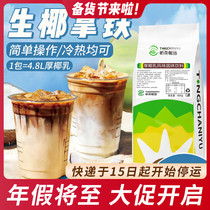 Thick coconut milk powder Net red raw coconut coconut coconut milk milk milk tea shop raw materials