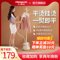 Red Hearts Hanging Bronzer Domestic Ironing Machine Iron Small Dorm Room Standing Handheld Steam Electric Iron Ironing the Clothing God