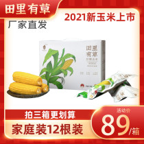 2021 Gongzhuling Hengtai organic farm field has grass sweet yellow corn 12 family manufacturers straight hair