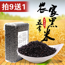 2020 black rice new rice northeast black rice grains Heilongjiang Wuchang own home buy 9 Get 1 bag