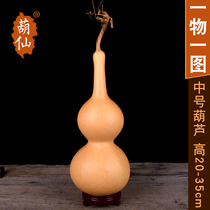 Boutique natural large gourd ornaments Feng Shui Cai Town house collection of evil evil gourd large medium size one picture