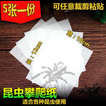 Insect climbing sticker 5 * 10cm (strange spider) crawling mantis climbing tape feeding box DIY supplies