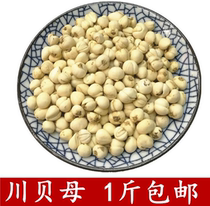 Sichuan Fritillaria 500g Wild Sichuan Fritillaria Cough Chinese Herbal Medicine Small Fritillaria Powder Non-Tongrentang