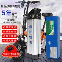 Electric vehicle lithium battery 48v24ah36v volt folding electric bicycle battery Whitebait Haiba universal removable