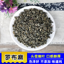 Xinjiang wild apocynum tea 500g authentic New Bud luobuma tea new tender leaf health tea bulk New