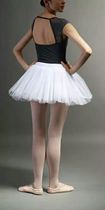 Ballet skirt adult New Professional Ballet short sleeve practice dress dance dress skirt small Swan performance Women