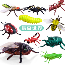 Plastic simulation animal model set dinosaur crawling small insect toys children early education cognitive biological teaching aids