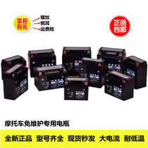 New motorcycle maintenance-free dry battery 12V5a 7a 8a9a12a Curved beam pedal three-wheeled universal YTX7A