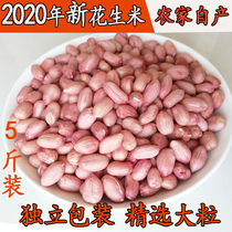 2020 Fresh farm-produced peanut pink skin Selected large peanut kernels snacks in bulk