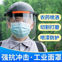 Protective mask drug shield pesticide mask transparent full face mask face mask welder face artifact