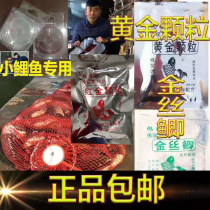 Golden silk carp carp rising sun gold particles bait winter black pit greenhouse main attack carp lead skin fish bait