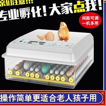 Water bed hatching machine Automatic household small incubator 25 chickens ducks geese pigeons quails parrots eggs hatching box