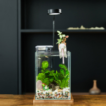 Creative ecological desktop fish tank real water grass landscape micro-View tank tropical fish viewing tank easy to take care of water-free change