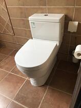 Duravit toilet
