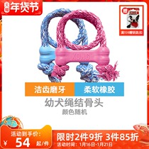 KONG United States imported natural rubber knot bone toy puppy small dog grinding tooth intelligence dog toy