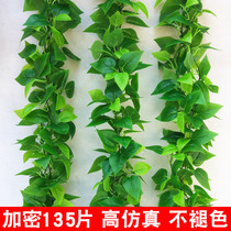 Simulation rattan green dill leaf decoration fake leaves Green rattan vine Plastic heating water pipe occlusion air conditioning winding flower