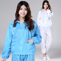 Anti-static split suit dust-free clothes suit blue and white zipper short top electronic factory dust-proof mens and womens overalls