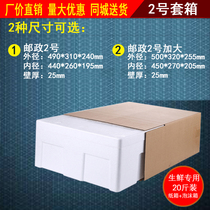 Hot Selling Promotion 2 Sizes Two Sizes Foam Box Carton Suit Raw Fresh Fruit Vegetable Express Incubator