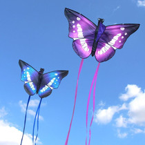 Kite adult special children butterfly girl Children play high-end breeze light body easy to fly Creative net red personality