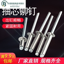 304 stainless steel blind rivet rivet round head pull nail 4mm nail suction nail decoration M3 2M4M5