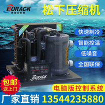 Borek frequency conversion fish tank chiller seafood pond refrigeration unit fish pond thermostatic machine industrial cooling aquaculture