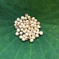 Qiang Qiang Cousin Shaoxing Specialty Farm Sulfur-free Fresh Boutique Lotus Seed Dry 500g