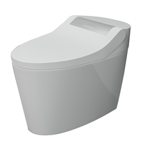 Intelligent toilet AKB1308