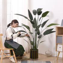 Nordic simulation paradise bird fake flower potted light luxury fake bonsai green plant decoration real plant traveler banana fake tree