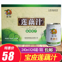 Yangzhou Baoying specialty Lianshun lotus root juice Vegetable and fruit juice drink vegetable juice whole box 240ml*24 cans special price