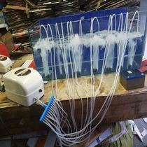 2021 New Fish Fishing Transportation Saierliba AC-DC dual-purpose oxygen pump oxygen pump aerator fish farming