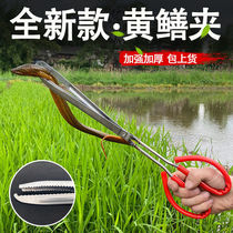 Stainless steel yellow eel clip lengthened thickened eel clamp mud loach crab pliers non-slip anti-off tool to catch sea deity