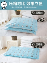 Vacuum compression storage bag clothes quilt pumping household vacuum bag