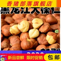2020 New Northeast specialty cooked hazelnuts original flavor Large hazelnut kernels Pregnant women cooked nuts 500g bags