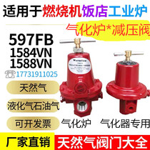 REGO REGO1584VN597FB1588VN Burner boiler gasifier Natural gas pressure reducing valve Pressure regulating valve