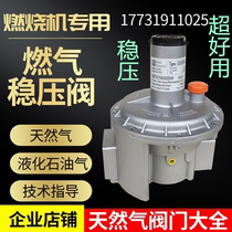 Natural gas gas gas pressure reducing valve MADAS Italian motor Fiorentin Fio pressure regulating valve
