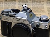 Canon 200D 200DII second generation SLR camera Red Panda hot shoe cover EOS camera flash dust cover