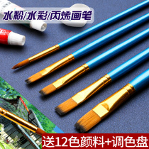  Gouache brush set Gouache art special acrylic oil paint Painting painting brush Beginner student brush tool Full set of flat head round head nylon brush color hook line pen