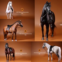 Spot Mr Z Mr. Zhu 1 6 German Hannover warm-blooded horse simulation animal model