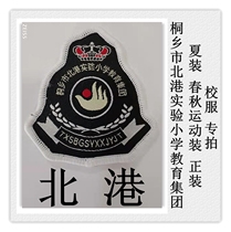 Tongxiang City North Port Experimental Elementary School Education Group Summer Clothing Spring Autumn Sportswear Fashion School Uniform