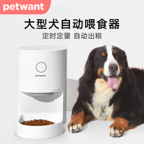 petwant petwant David smart feeder Puppy Large dog Pet dog Large capacity automatic feeding machine