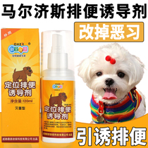 Malzisys pooch toilet inducers dog bowels to prevent messy urinals guided to the toilet at targeted defecation