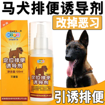 Mound toilet inducers dog bowels to prevent messy urinals guiding training dogs on the toilet urinating on the spot