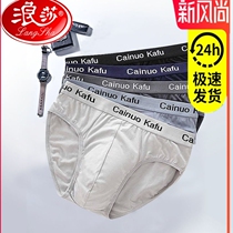 Romana mens triangle underpants Modale pants sexy breathable fattening young students large size pants head comfort