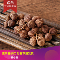 Jiahua Yangling 50g spring Amomum villosum dried fruit authentic Amomum and spring specialty Yangjiang Amomum fresh fruit