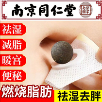 Nanjing Tongrentang Wormwood belly button patch dampness detoxification cold relief stomach cold conditioning gastrointestinal Wormwood moxibustion paste
