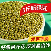 New mung bean small mung bean 5kg farm self-produced bean sprouts special mung bean soup cooking porridge ingredients mung bean paste raw materials