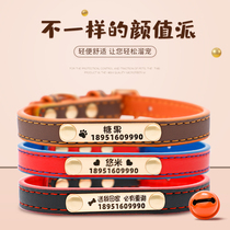Dog Item Circle Kittens Bell Dog dog Pet Cat Circle Neck Ring Lettering Anti-Loss Puppies Small And Medium Dog Ornament Neck Ring